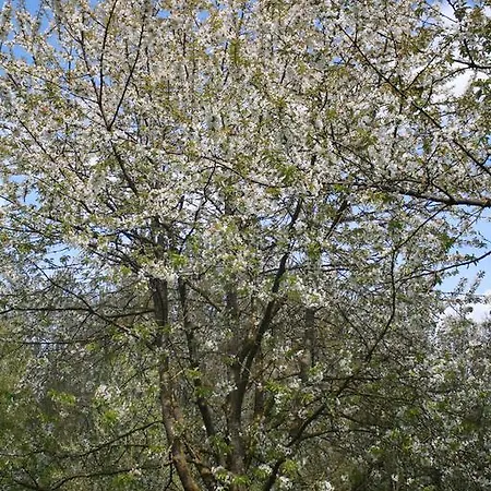 Panzió Au Gue De La Vesle